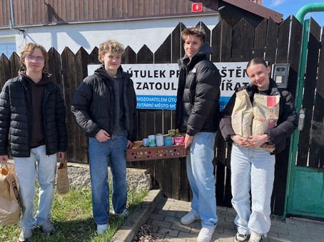 Sbírka pro psí útulek